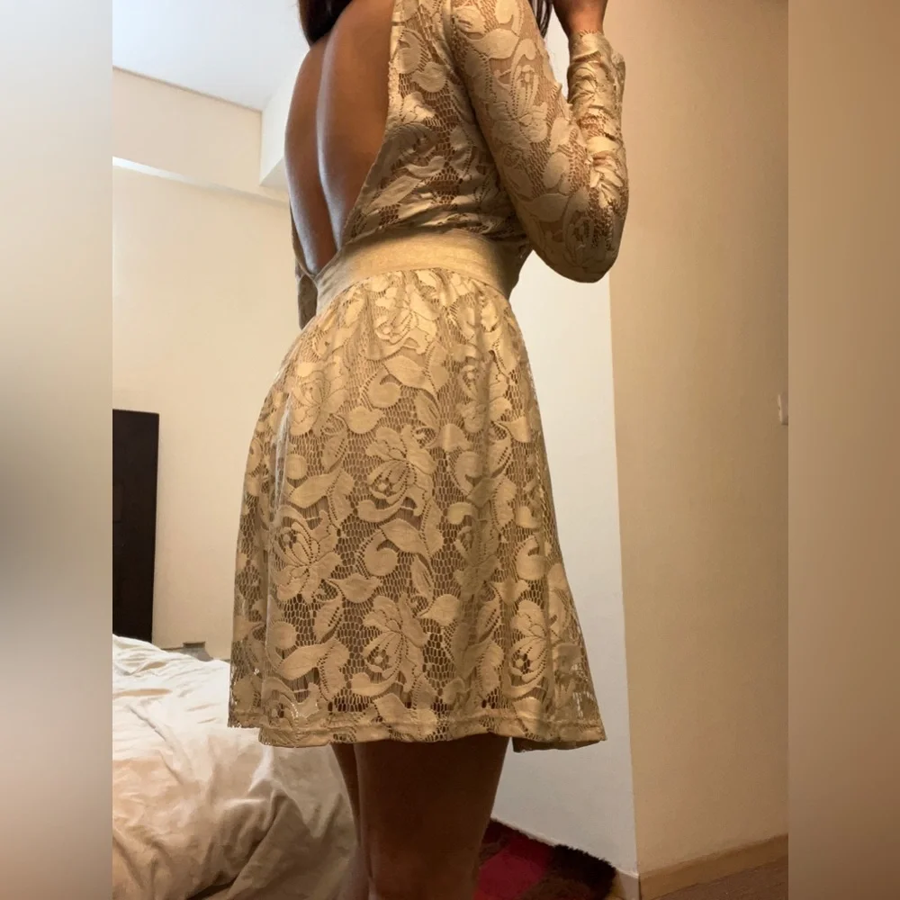 Zara Crème Net Lace Dress - Picture 11 of 12